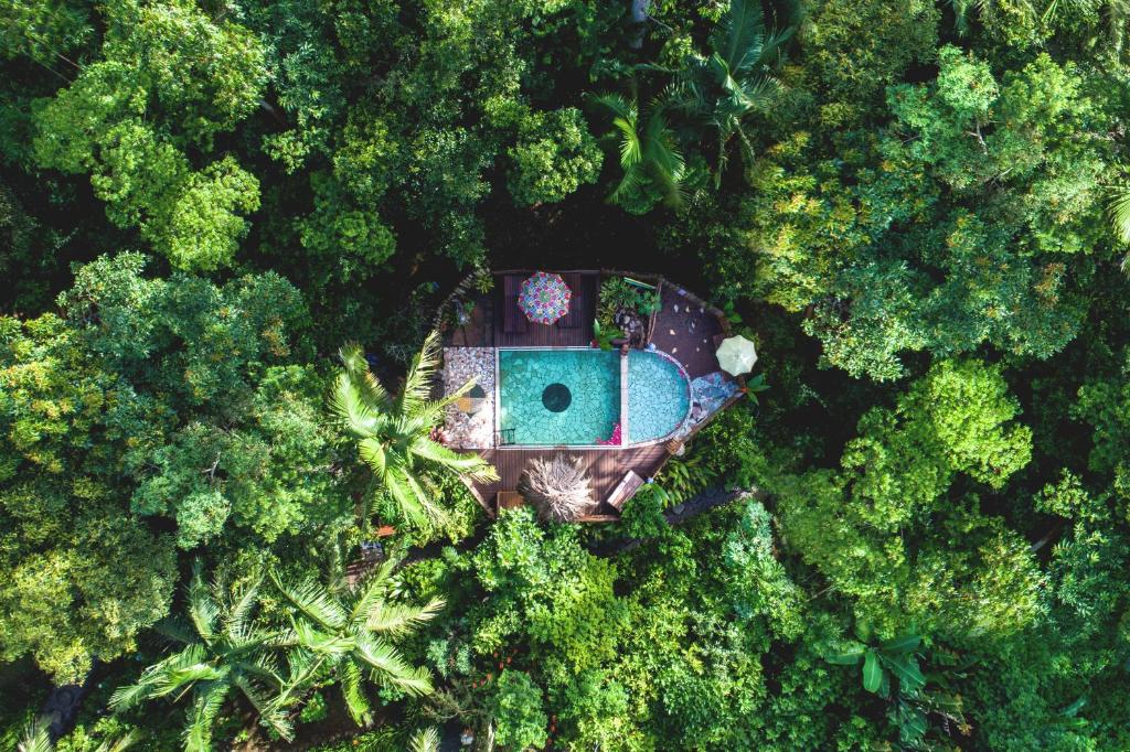 an overhead view of a pool in the middle of a forest at Pousada Refúgio das Montanhas in Praia Grande