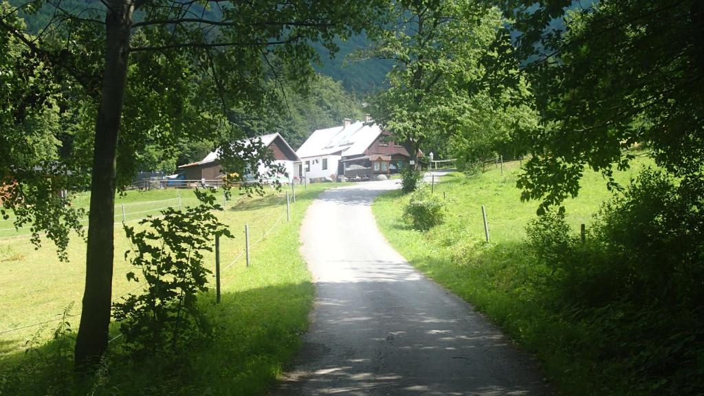 Příroda nedaleko apartmánu