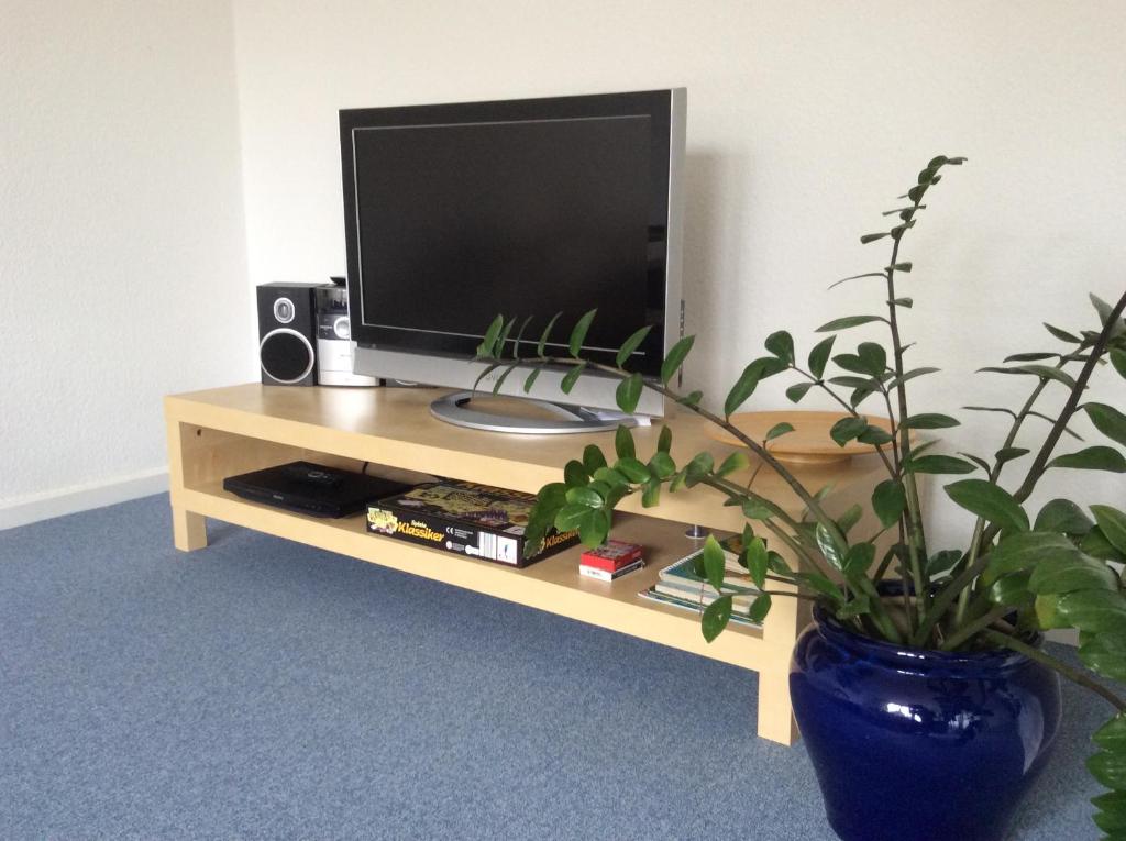 uma televisão numa mesa de madeira com um vaso de plantas em Heidelberg Appartements Berger em Heidelberg