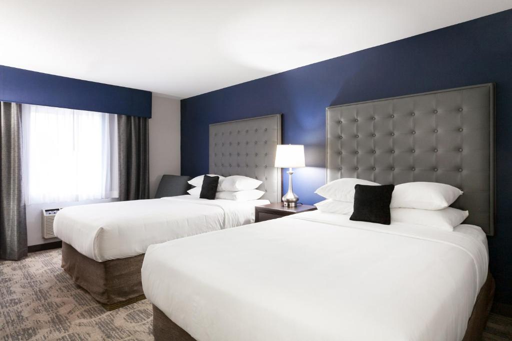 two beds in a hotel room with blue walls at Garner Hotel Auburn - Seattle, an IHG Hotel in Auburn