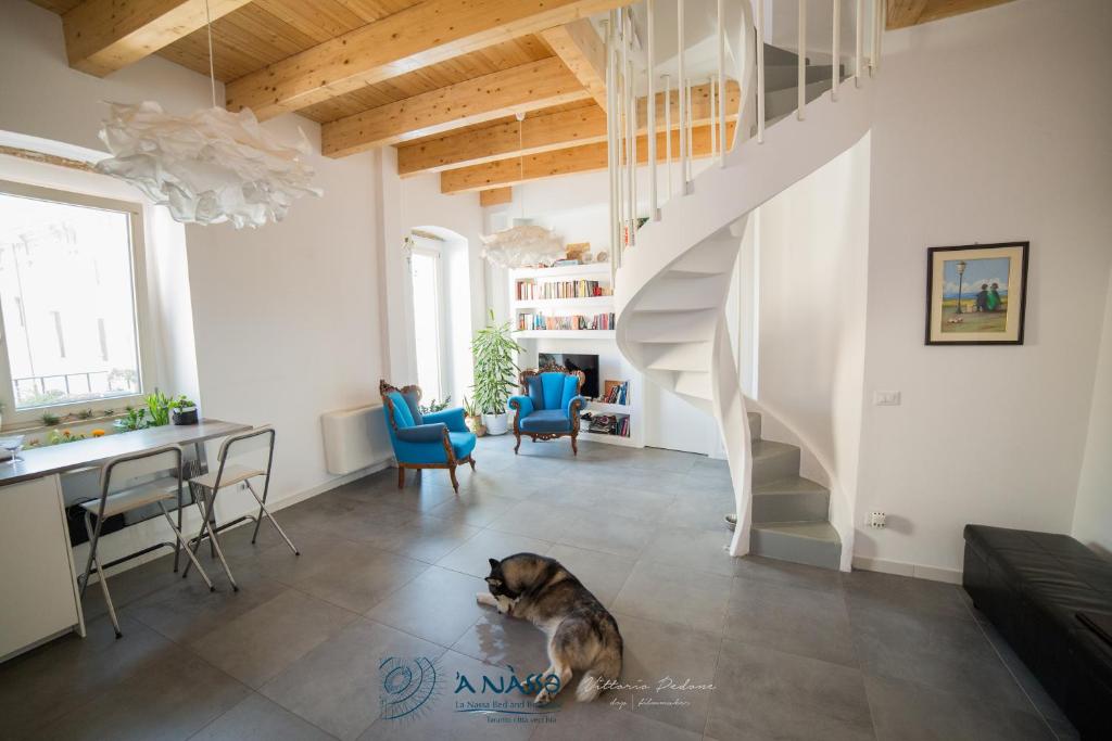 a dog sitting on the floor in a living room at Bed & breakfast La Nassa in Taranto