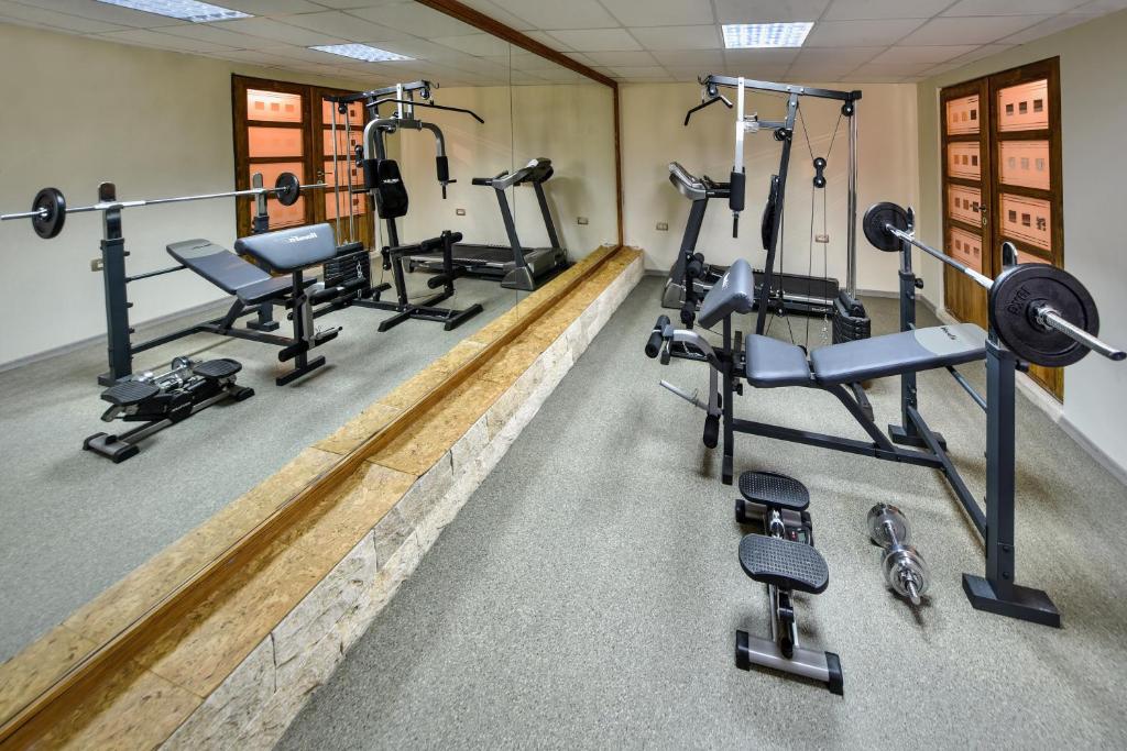 Fitness centrum a/nebo fitness zařízení v ubytování Villa Dub