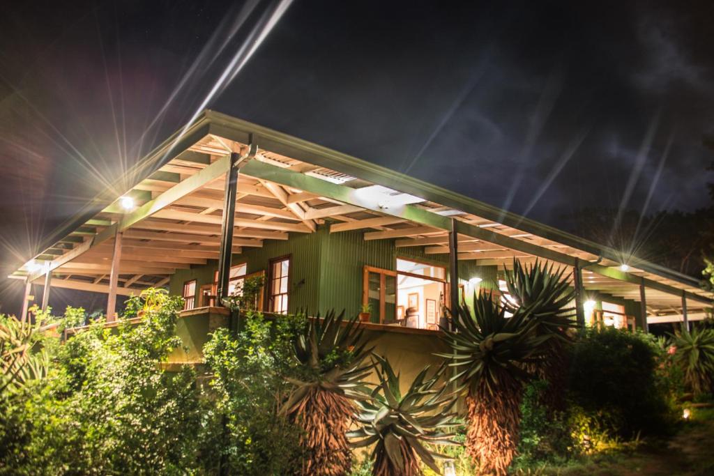 a house at night with palm trees in front of it at Three Tree Hill Lodge in Bergville