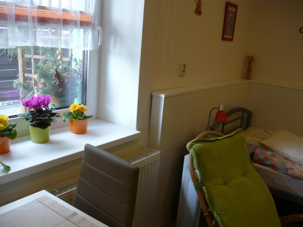 Część wypoczynkowa w obiekcie Apartments - Penzion Lena