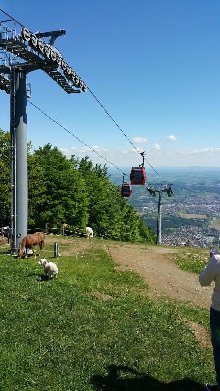 Hotel Bajt Maribor - Resim 32