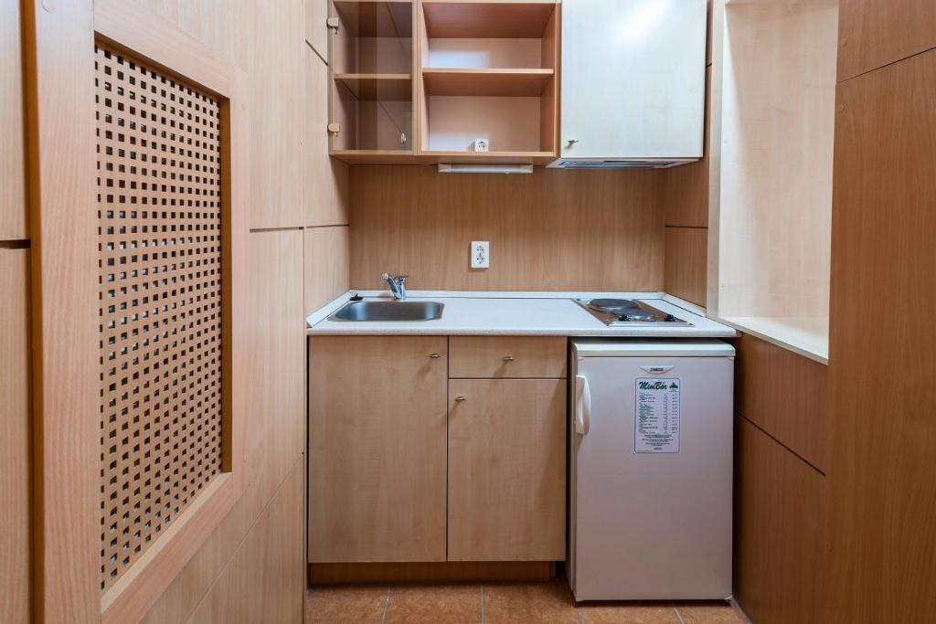 Kuchyň nebo kuchyňský kout v ubytování Hotel Barátság