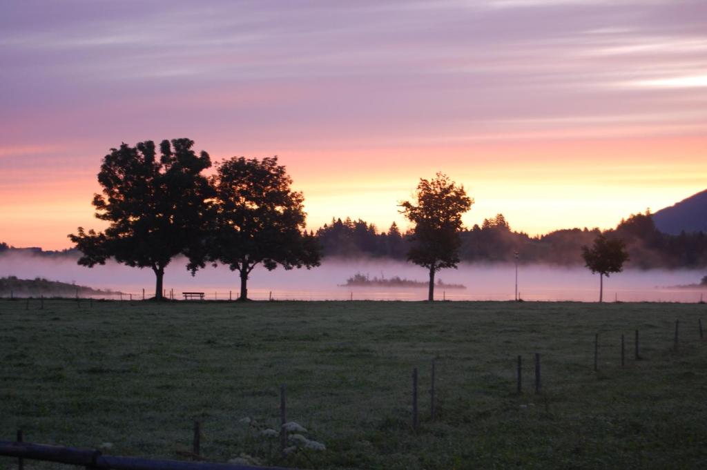 Gästehaus Stefanie - 5