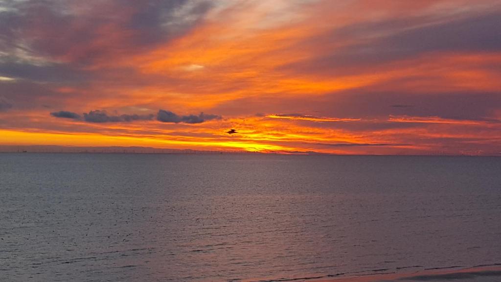 Maples Hotel - Resim 22