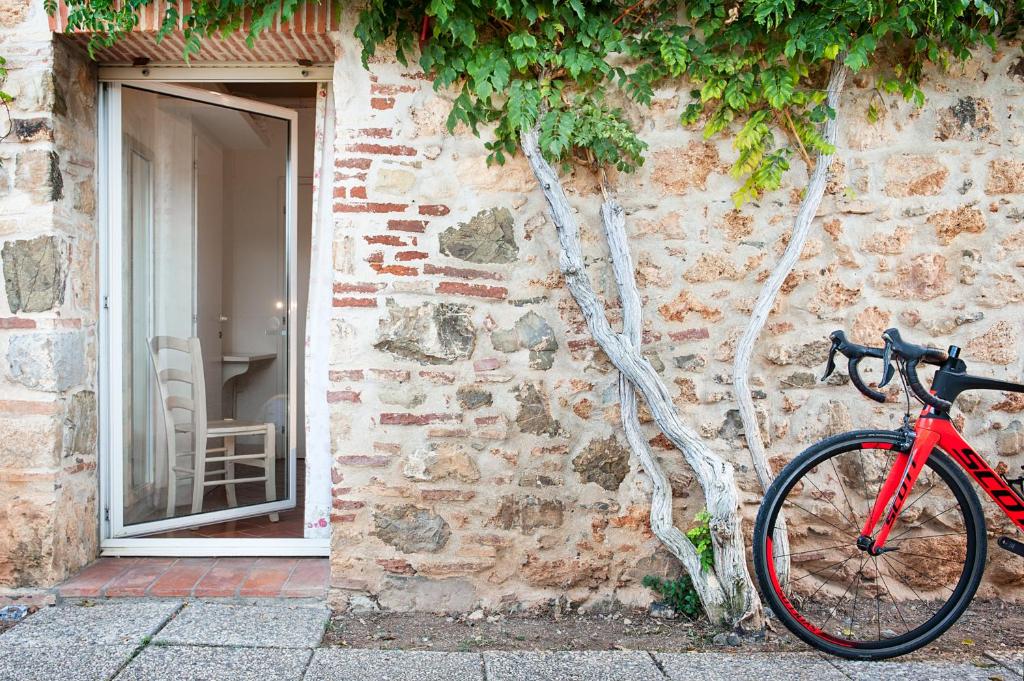 Jízda na kole v ubytování Massa Vecchia nebo okolí