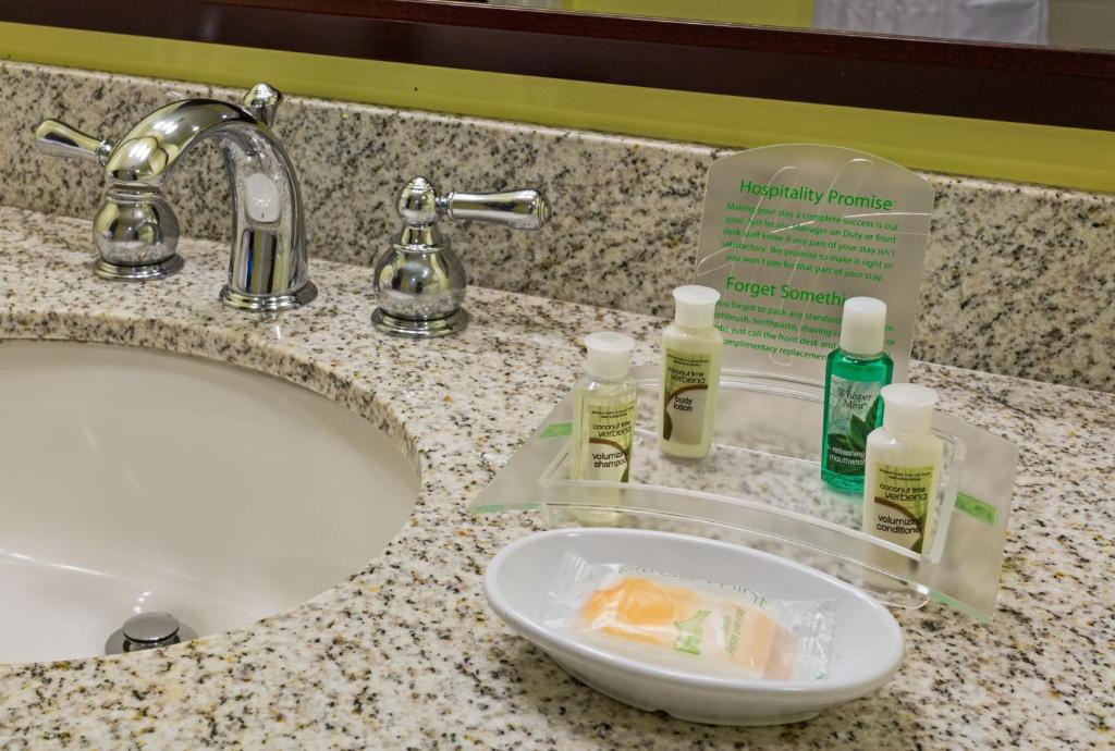 Holiday Inn Hotel French Quarter-Chateau Lemoyne, an IHG Hotel - Standard Room