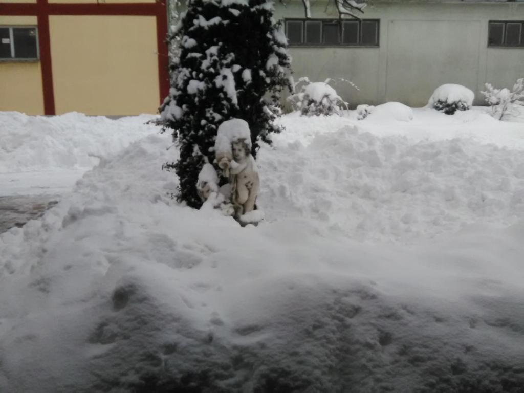 Apartment Tomašević - 9