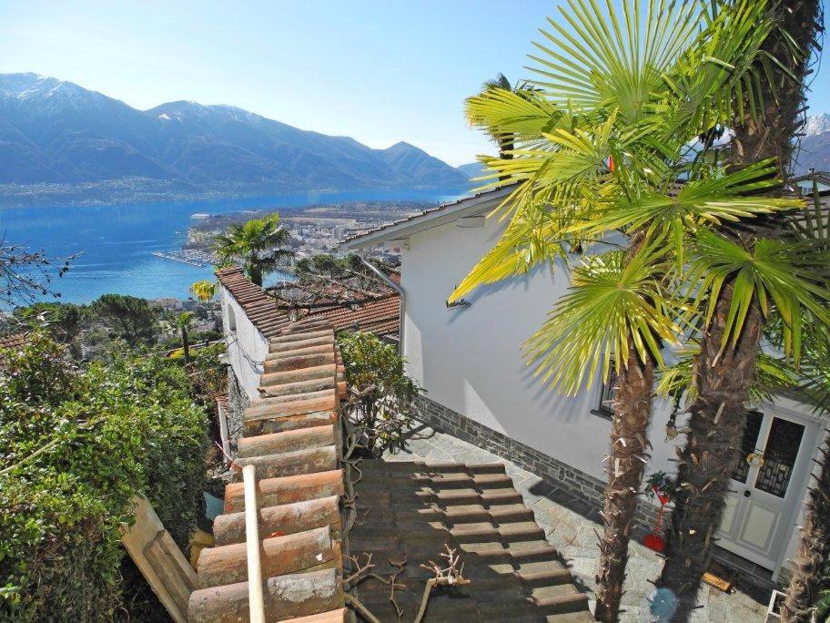 a stairway leading up to a house with a palm tree at Casa Rondinella App 9500 in Orselina