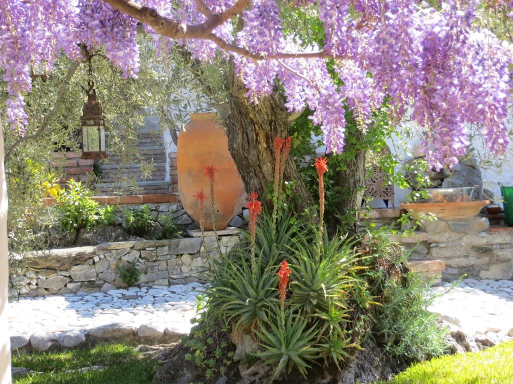 フリヒリアナにあるColores en el Vientoの紫花の木