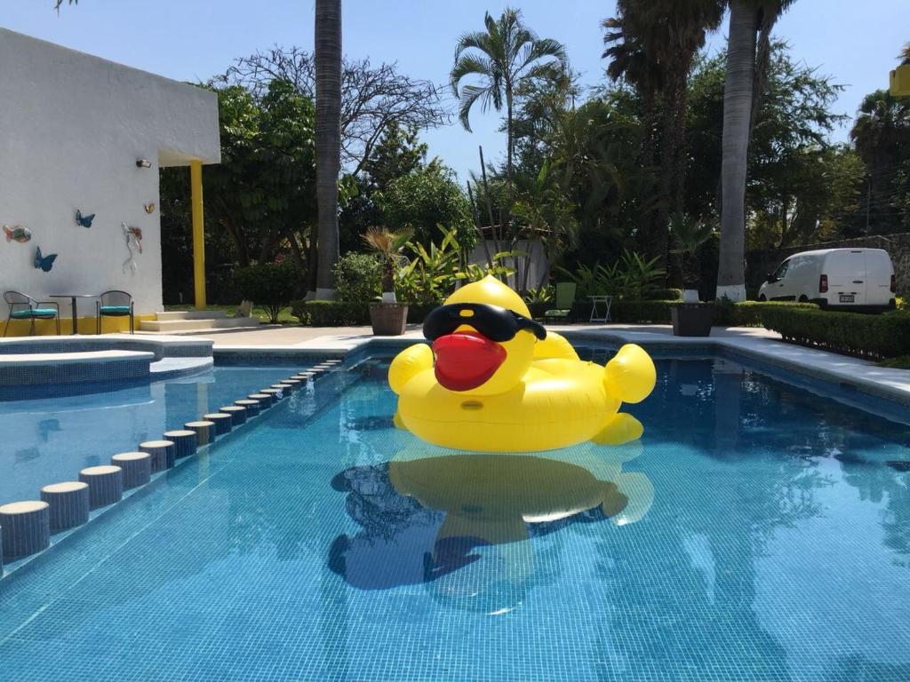 un grand canard en caoutchouc jaune dans une piscine dans l'établissement Residencia Jacarandas, à Cuernavaca