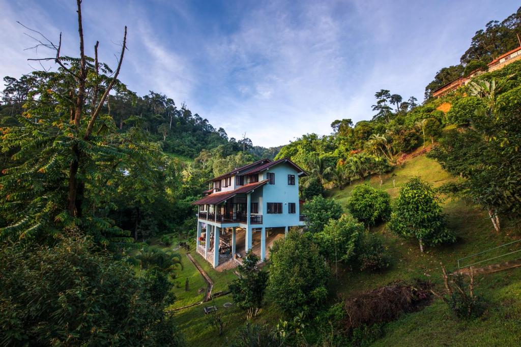 an aerial view of a house in the middle of a hill at Rest Pause Rainforest Retreat in Bentong