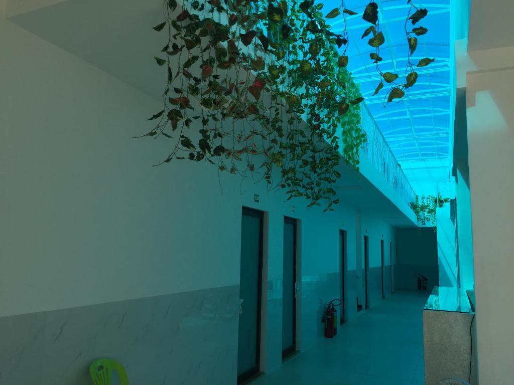 a plant hanging from the ceiling of a building at Hotel MAI TUAN Chánh Môn A in Tây Ninh