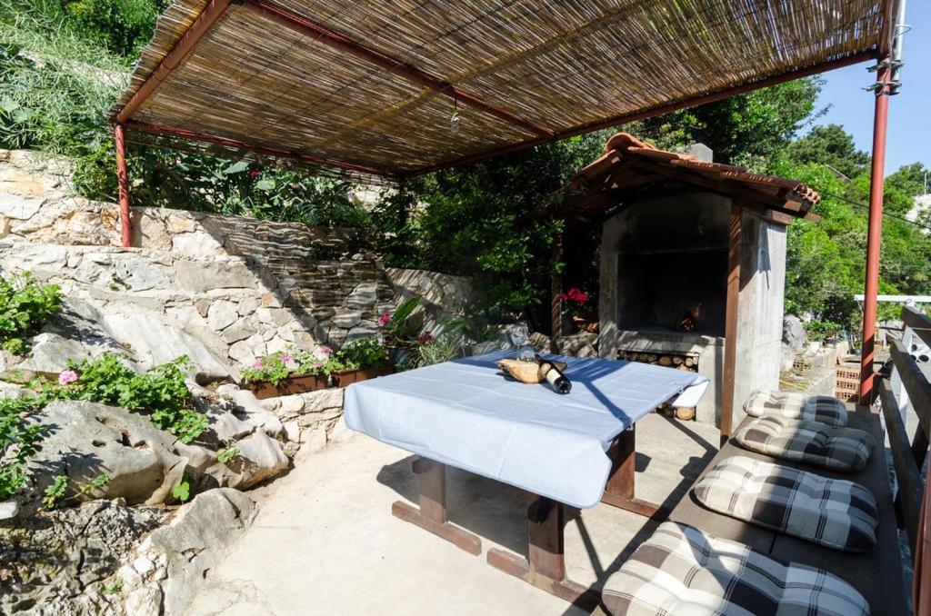 Zahrada ubytování Villa Anita