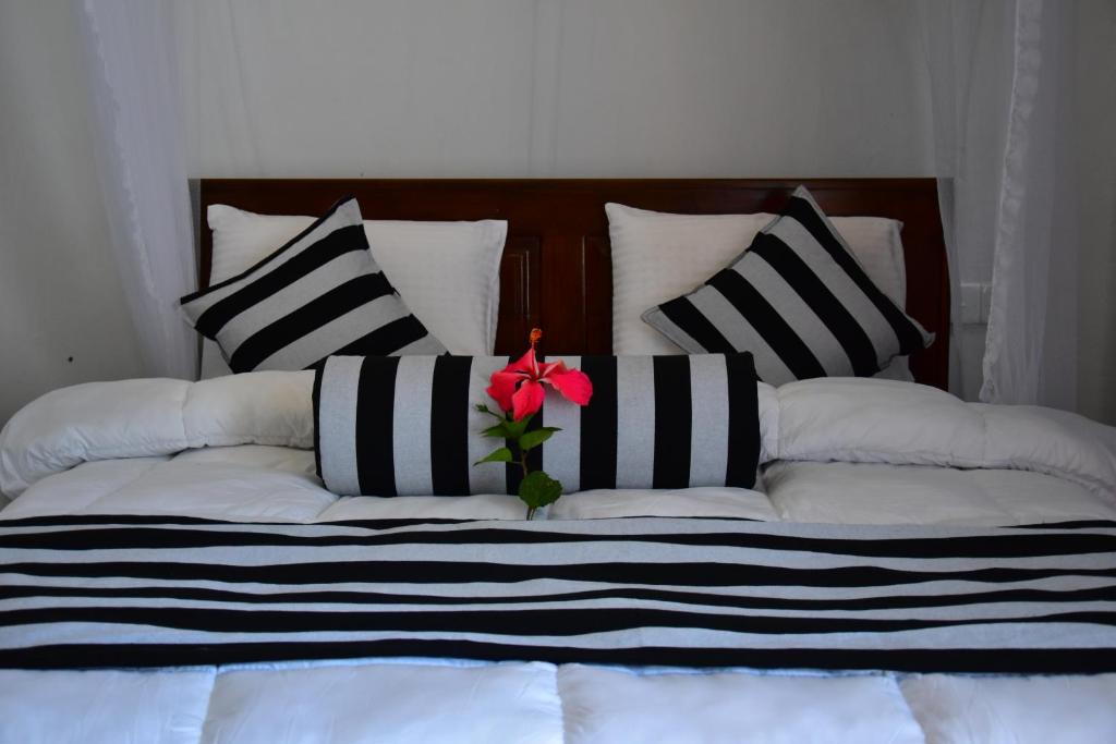 River Splendour Home Stay - 2