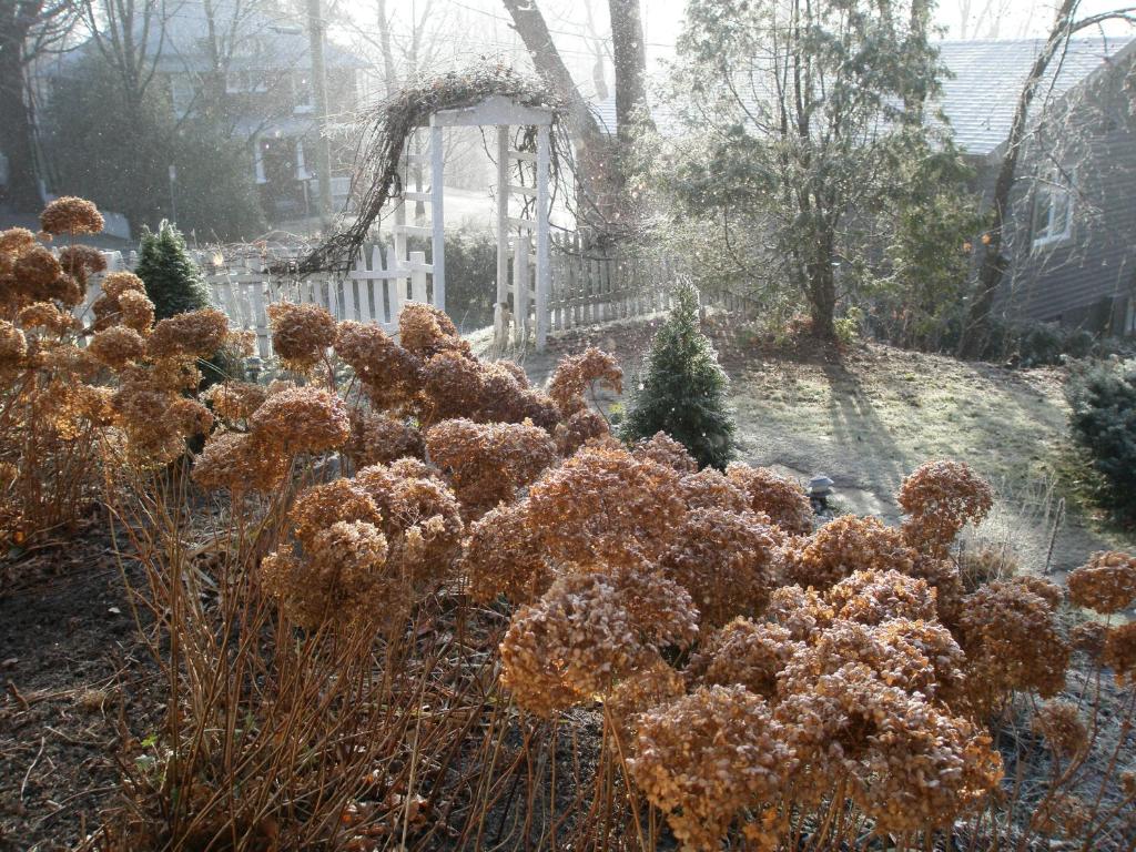 Zahrada ubytování Ô Bois Dormant B&B