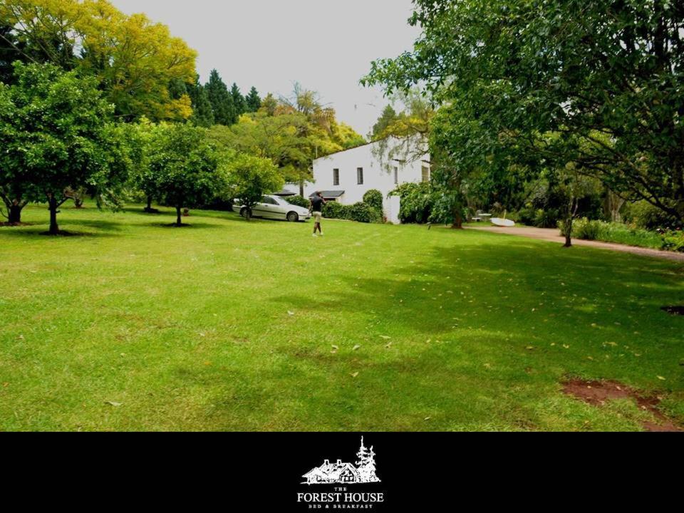 Suitetrails - Forest House B&B