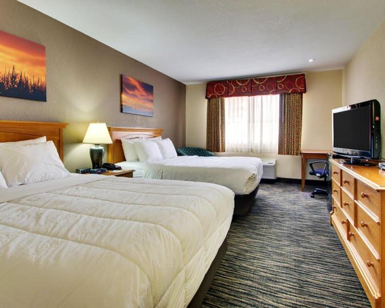 EverSpring Inn & Suites - Queen Room With Two Queen Beds