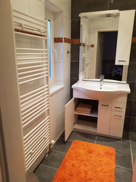 a bathroom with a sink and a mirror at Garden Apartment Donau-City (P&R) in Vienna