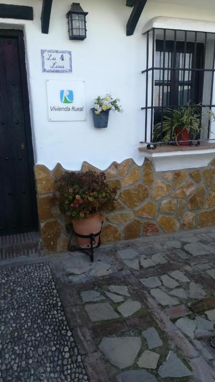 a plant in a pot next to a building at Las 4 Lunas in Zahara de la Sierra
