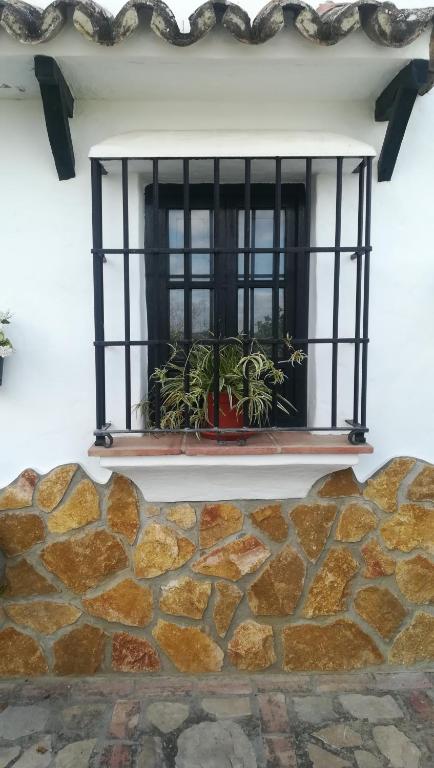a window with plants on a stone wall at Las 4 Lunas in Zahara de la Sierra