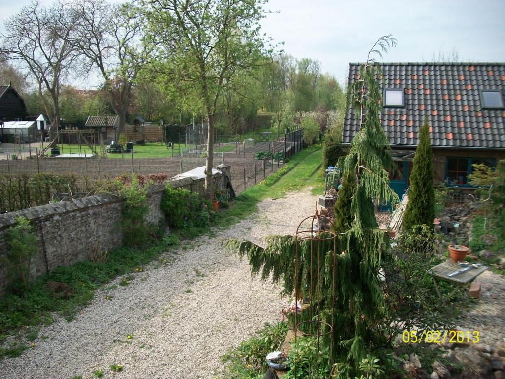 een tuin met een palmboom en een hek bij B&B Bij de Boomgaard in Tricht