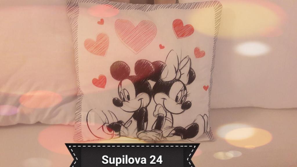 Mickey Mouse Supilova 24 - 18