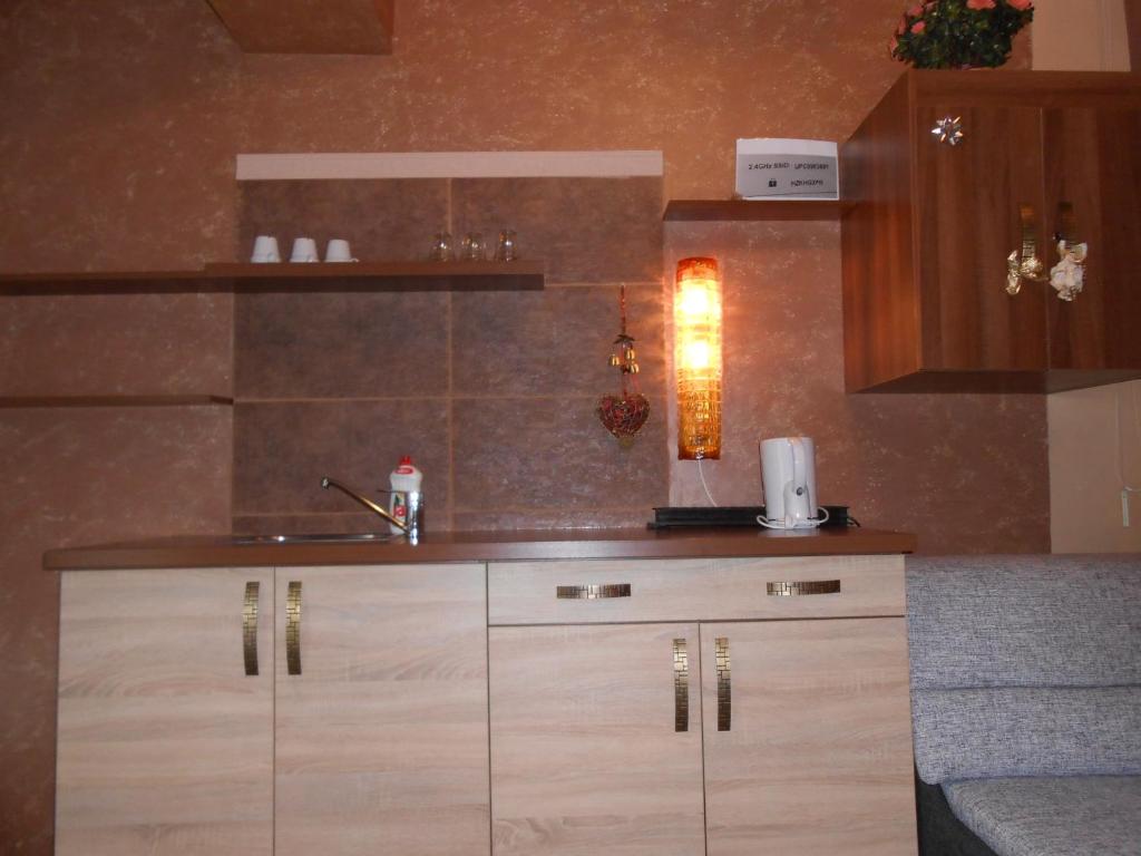 Una cocina o zona de cocina en Splendor apartman