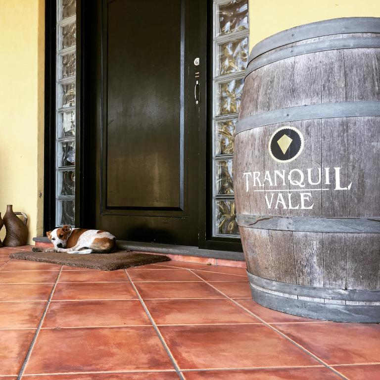 Certifikát, hodnocení, plakát nebo jiný dokument vystavený v ubytování Tranquil Vale Vineyard