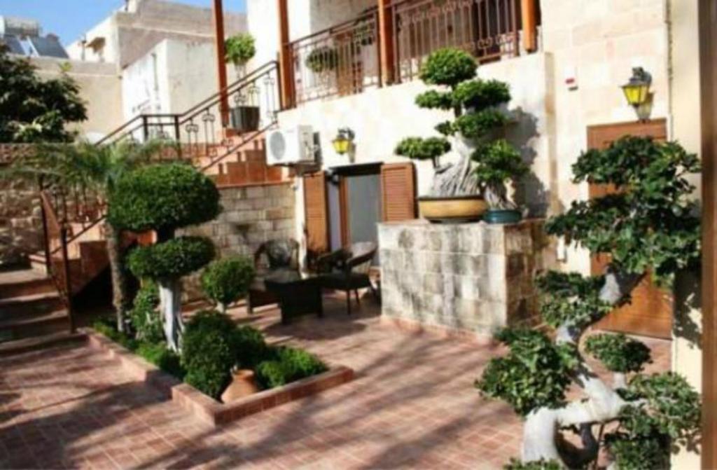 - une terrasse avec un tas d'arbres et de plantes dans l'établissement Paris Hotel, à Rhodes