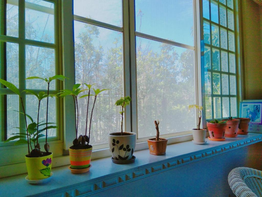 Fotografie z fotogalerie ubytování Riverside B&B v destinaci Wujie
