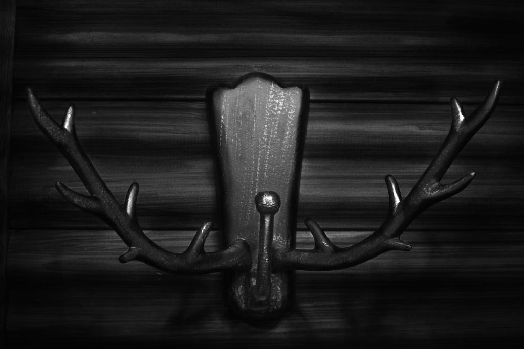 a reindeer antlers hanging on a wall at Santa's Hotel Santa Claus in Rovaniemi