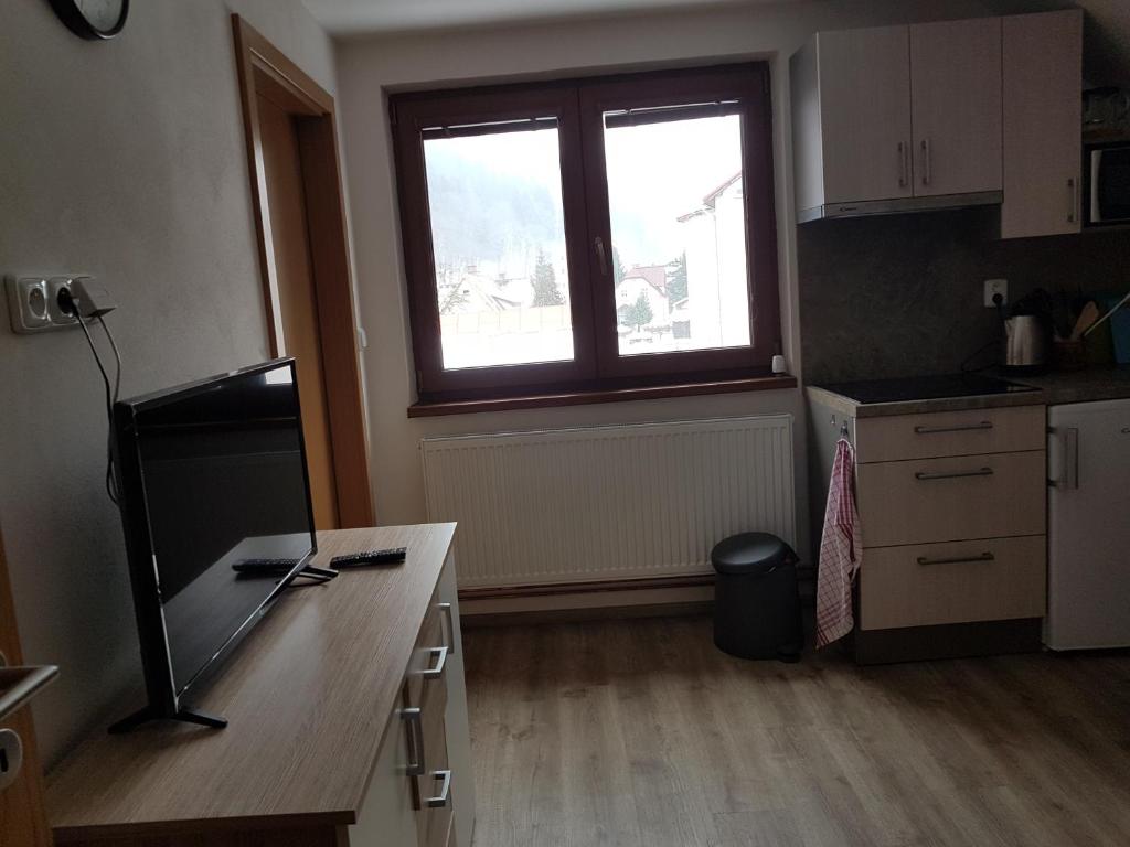 Kuchyň nebo kuchyňský kout v ubytování Apartmány TAS