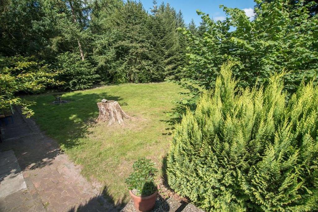 Zahrada ubytování Zur Schanze Holtgast-Apen