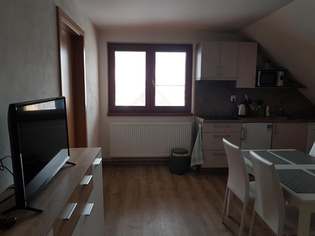 Kuchyň nebo kuchyňský kout v ubytování Apartmány TAS