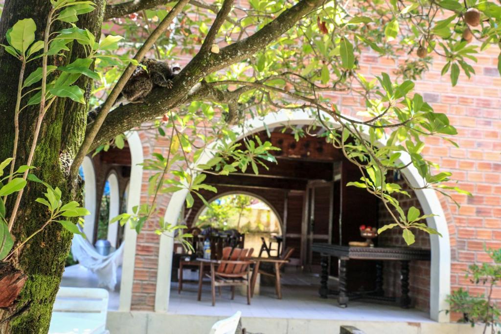  Porto de Galinhas Hostel