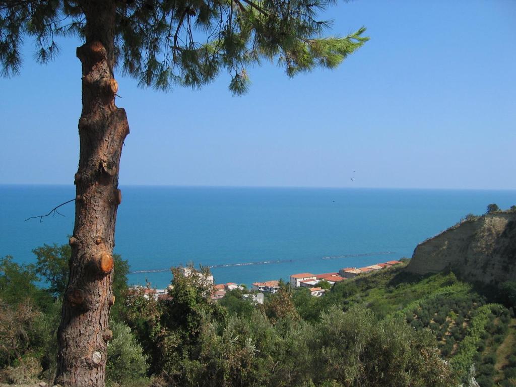 un árbol en una colina con el océano en el fondo en Sea view apartment 10 minute walk to the sea, en San Vito Chietino