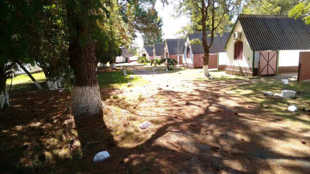 a shady yard with a tree and a house at Hotel Comodoro De Bagé in Bagé