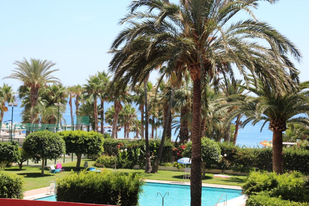 - Vistas a un complejo con palmeras y piscina en Bella vida en Almunecar, en Almuñécar