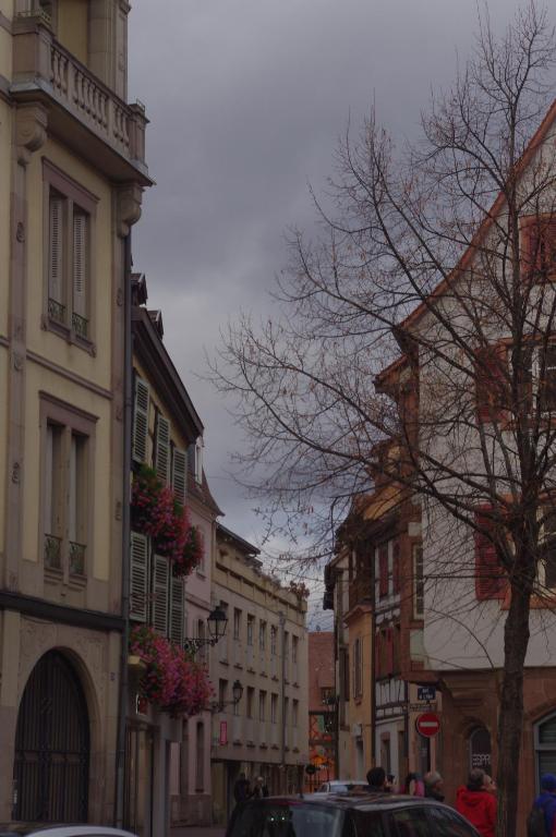 Margot - hyper centre Colmar – photo 38