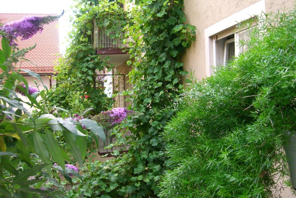 Zahrada ubytování Hotel Möve garni