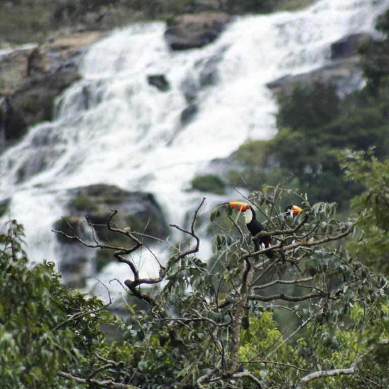  Pousada Campo de Cima