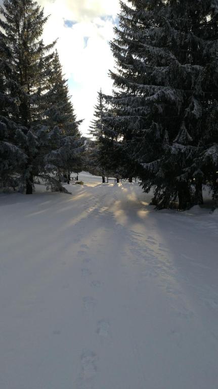Rifugio La Capanna v zime