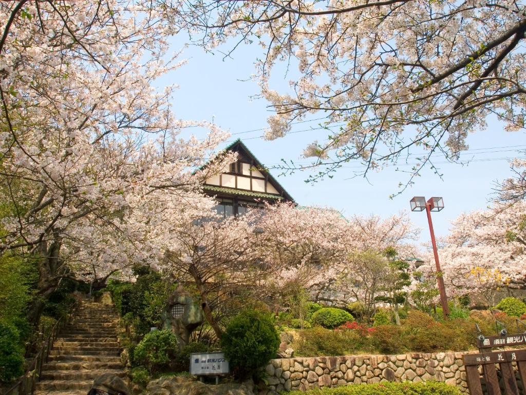 un jardín con árboles akura y una casa en el fondo en Suma Kanko House Aji to Yado Kagetsu en Kobe