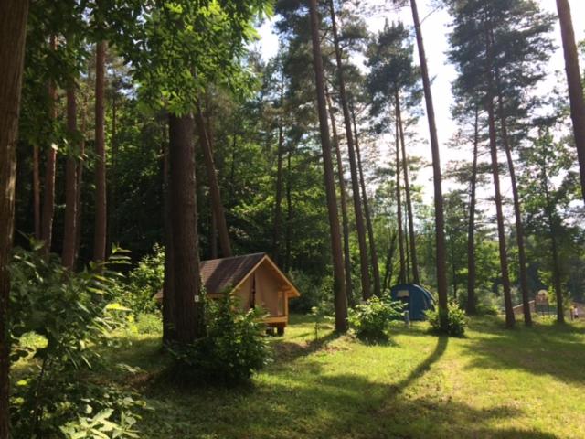 Camping Osenbach, Osenbach – Updated 2024 Prices