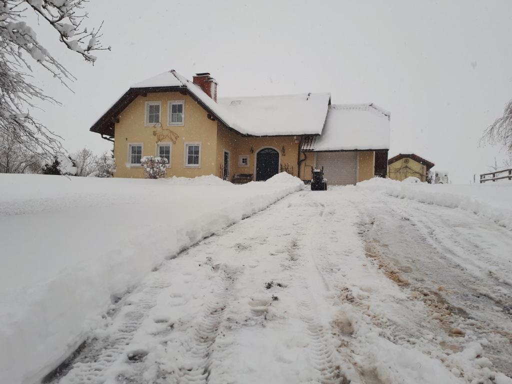 Bed and Breakfast Trnje v zimě