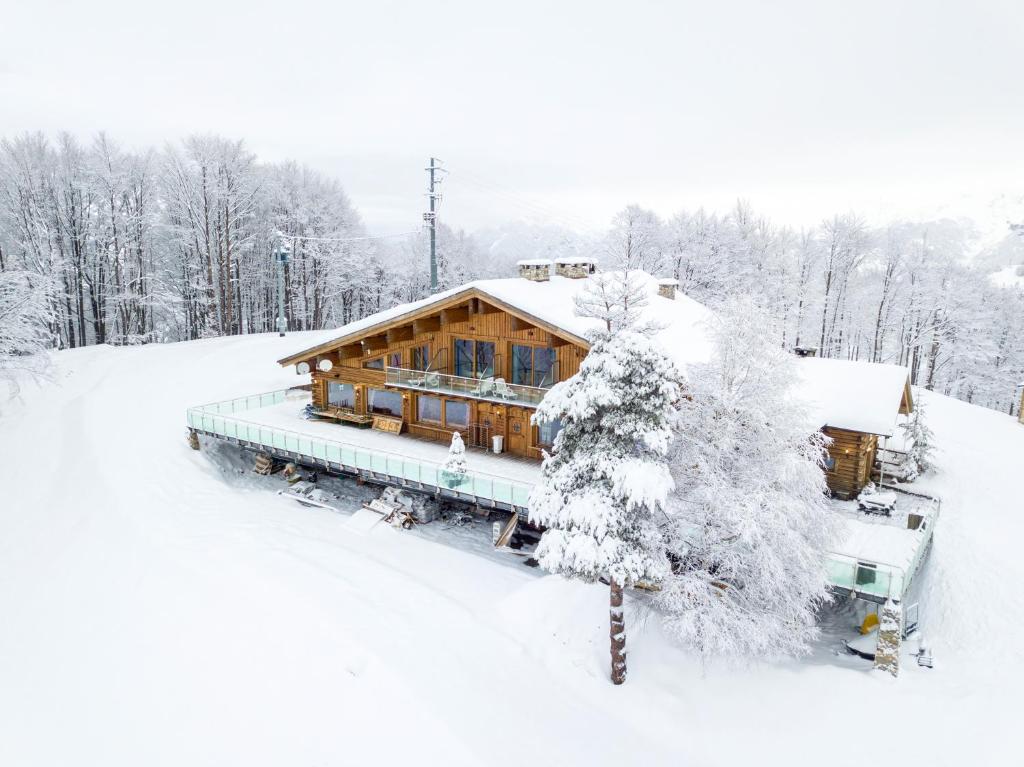 una cabaña de madera en la nieve con un árbol en Chalet Morel 1586 Hotel & Spa, en Limone Piemonte